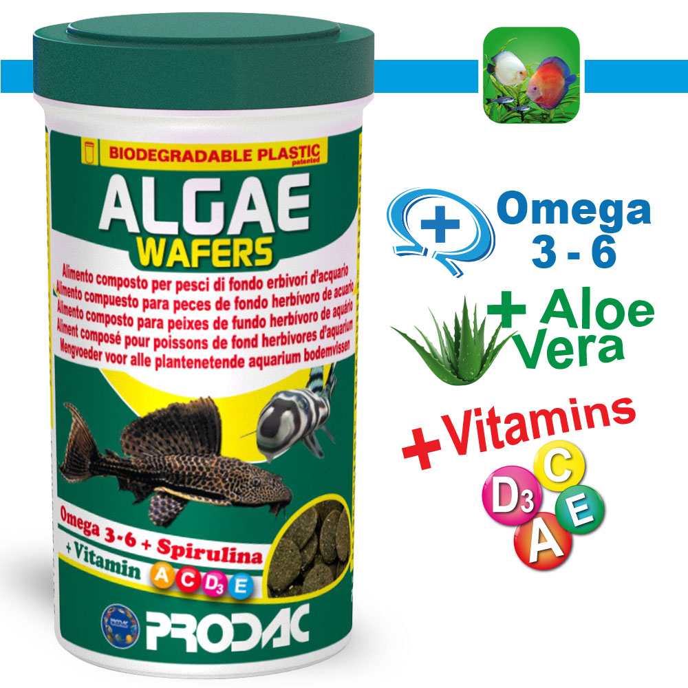 Algen wafels 1200 ml 550g