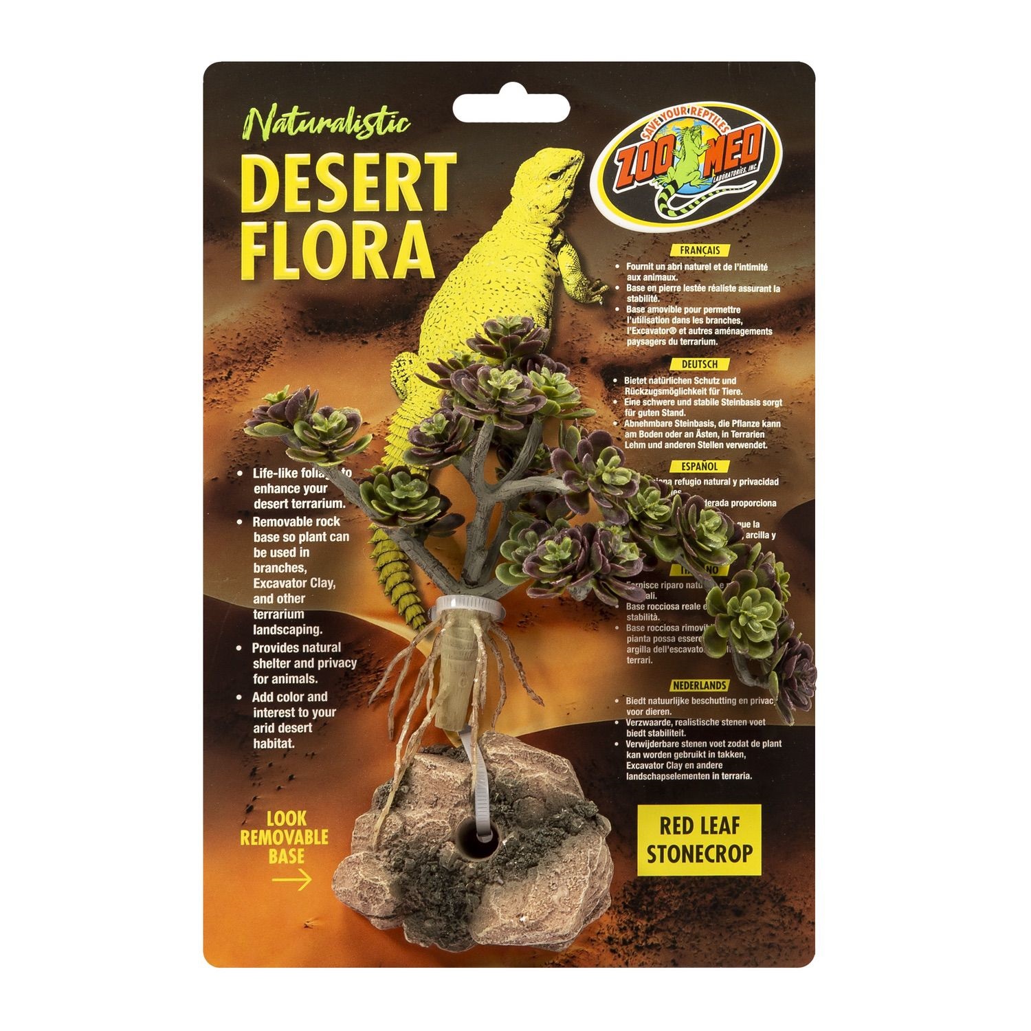 Desert Flora – Red Leaf Stonecrop
