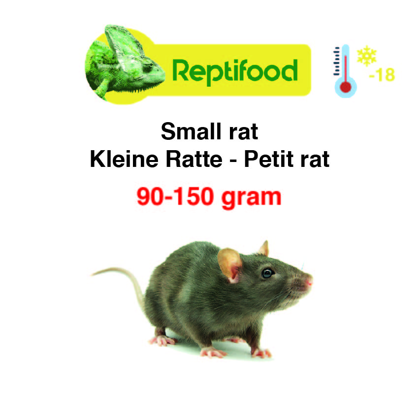 Diepvries Rat middel 90-150 gr. 5 st.