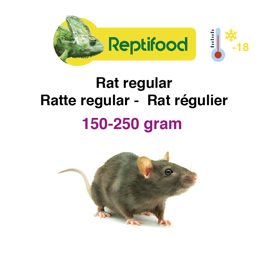 Diepvries Rat regular 150-250 gr. 5 st.