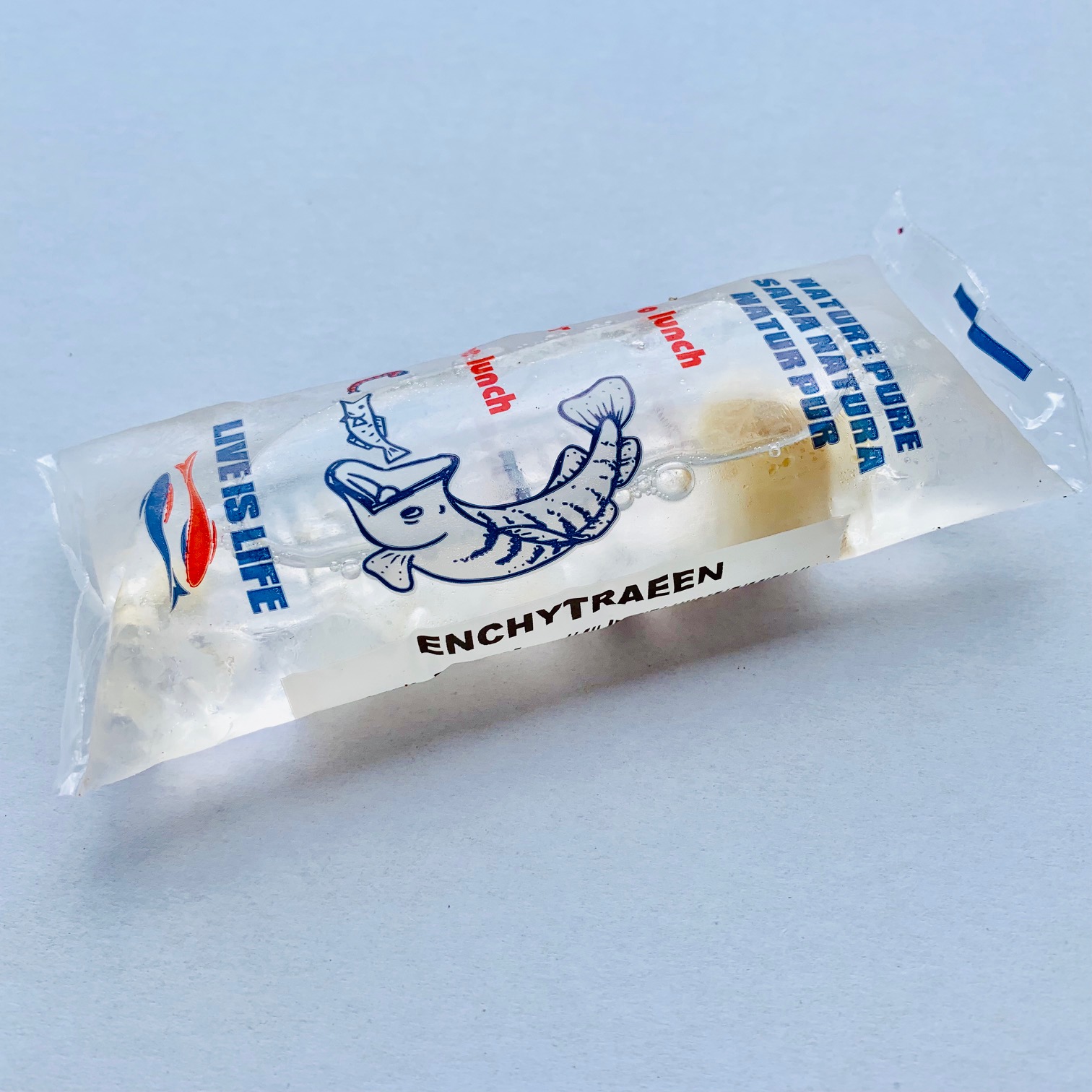 Enchytreeën in zakje 45 ml