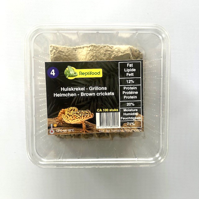 Huiskrekel maat 4 in doosje