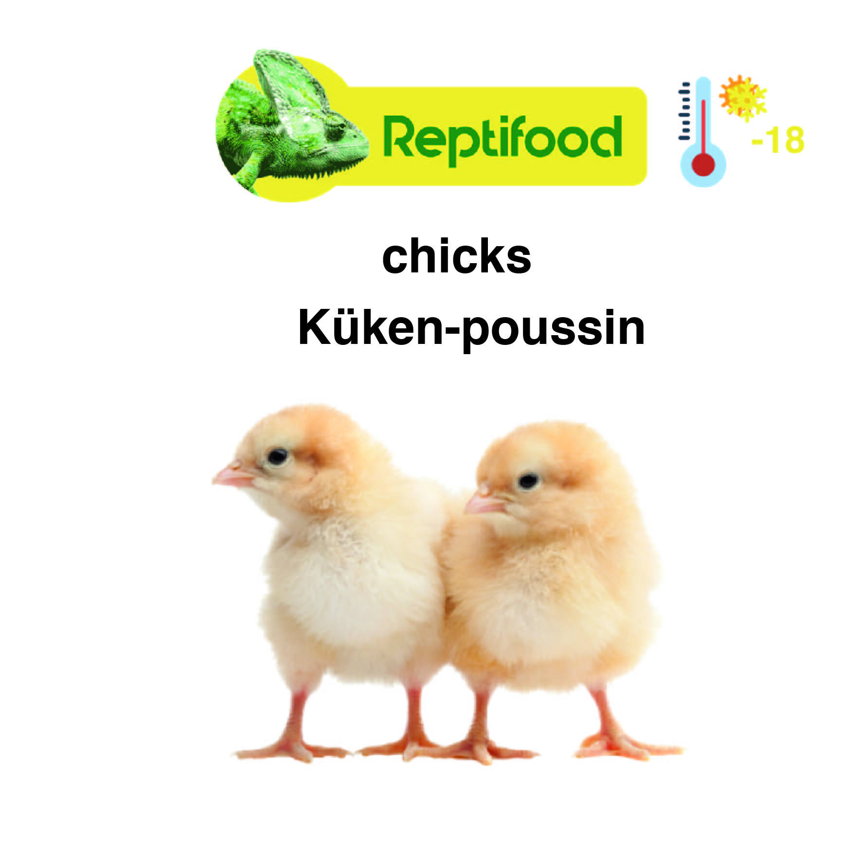 Diepvries Kuikens per 1 kg. verpakt