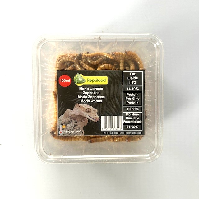 Moriowormen in doosje 100 ml.